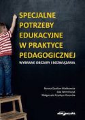 Zdjęcie okładki książki, pt. "Specjalne potrzeby edukacyjne w praktyce pedagogicznej " - stojący na małej drabince chłopiec pisze z trudem kredą na tablicy