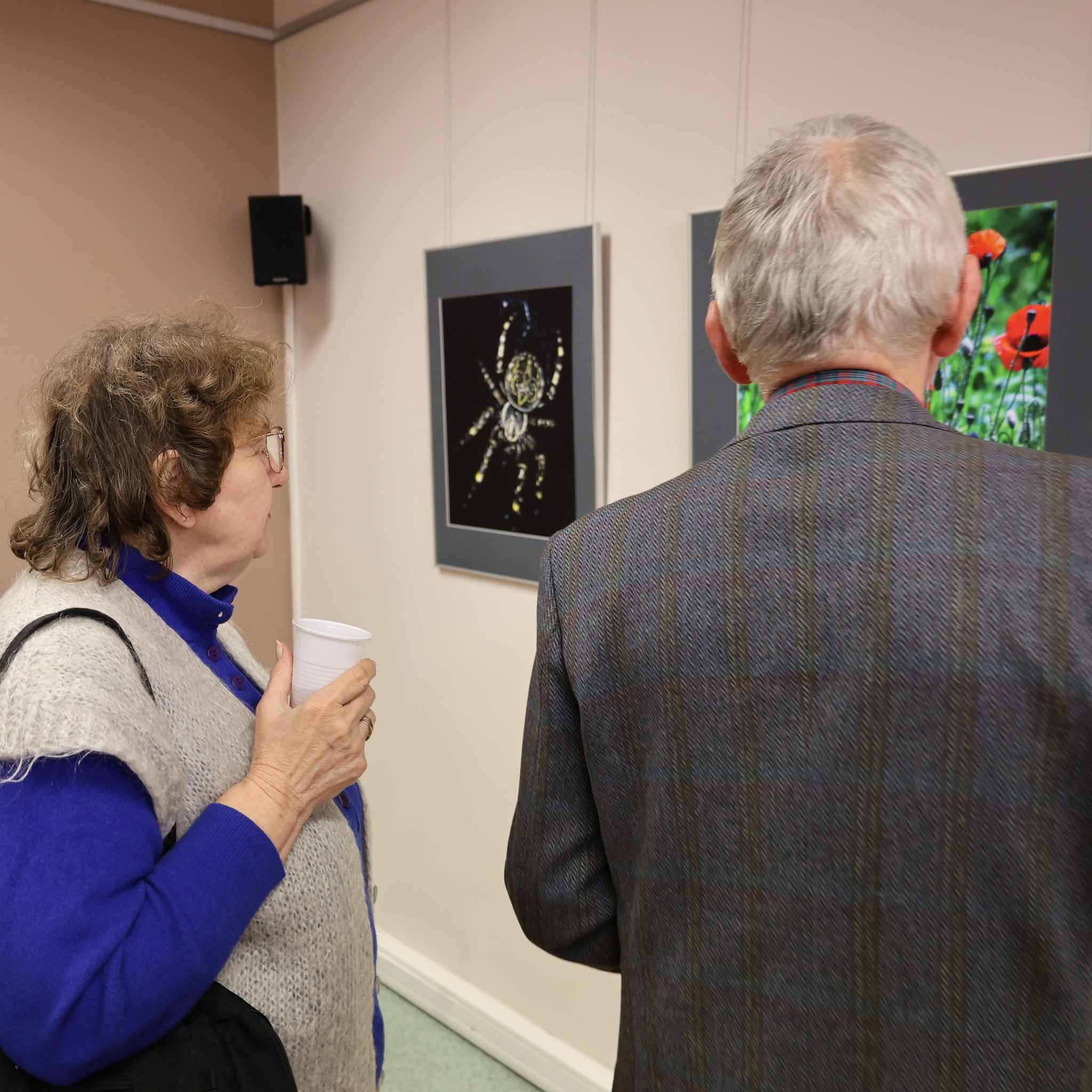 Wernisaż wystawy Barbary Polakowskiej i Pani Teresy Okrój