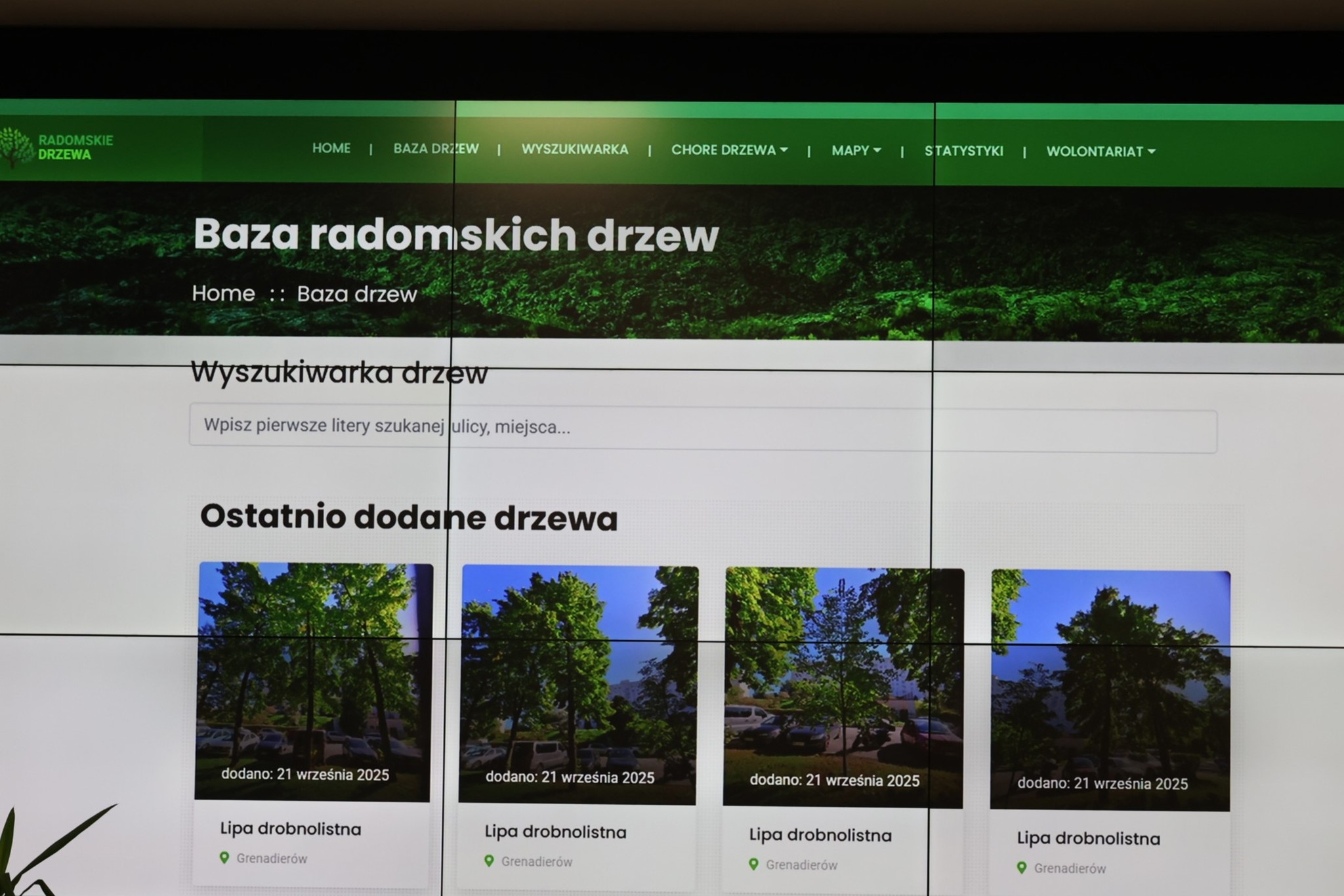 O Wartości Drzew w Mieście - lekcja przyrody