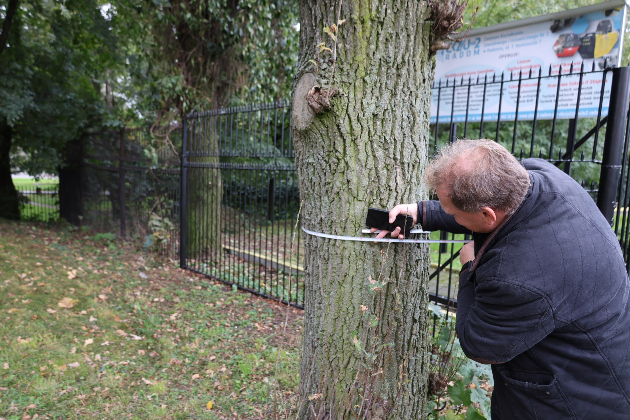 O Wartości Drzew w Mieście - lekcja przyrody