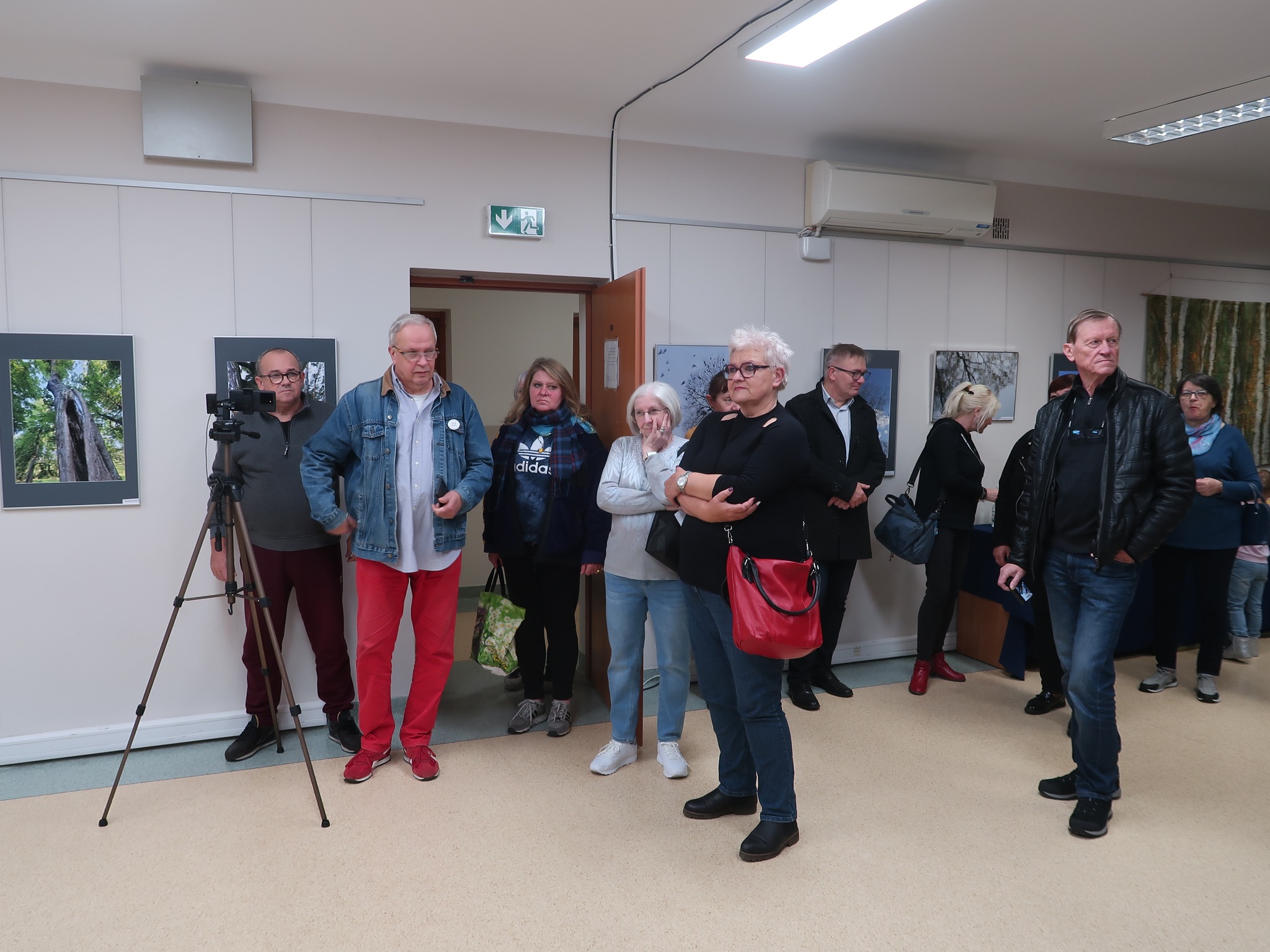 "Radomskie drzewa" - wernisaż wystawy