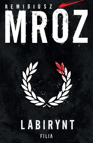 okładka książki, pt. "Labirynt".