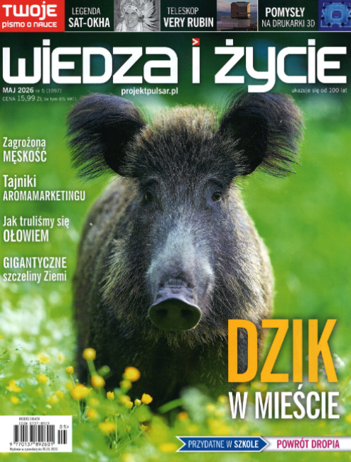okładka czasopisma, pt. "Wiedza i Życie" 5/2026